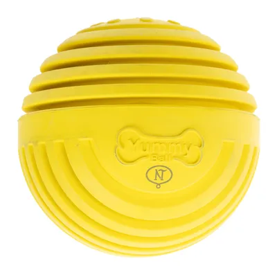 Balle jaune en plastique avec reliefs, inscription visible : Yummy Ball et logo NT sur le devant.