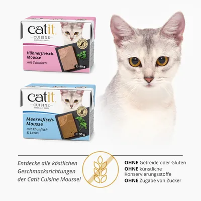 Catit Cuisine Mousse 12 x 90 g