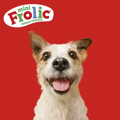 Logo mini Frolic sa sloganom 'Naturally Irresistible' na crvenoj pozadini.
