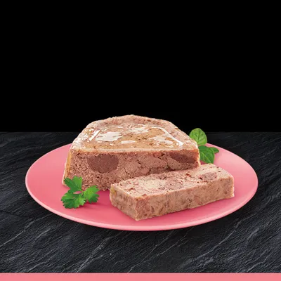 Cibo umido per animali a forma di blocco con una fetta tagliata, servito su un piatto rosa con foglie di prezzemolo e basilico visibili.