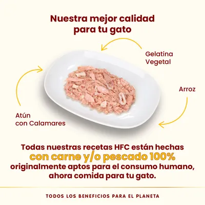 Pack Ahorro Almo Nature HFC 24 x 70 g