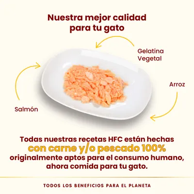 Pack Ahorro Almo Nature HFC 24 x 70 g