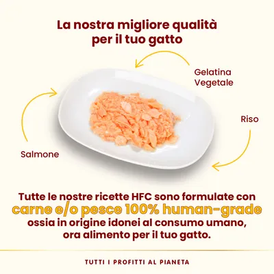 La nostra migliore qualità per il tuo gatto. Salmone, gelatina vegetale e riso. Tutte le nostre ricette HFC sono formulate con carne e/o pesce 100% human-grade, ora alimento per il tuo gatto.
