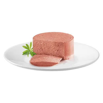 Scheibe einer rosa Fleischpastete auf weissem Teller, dekoriert mit grünem Blatt.