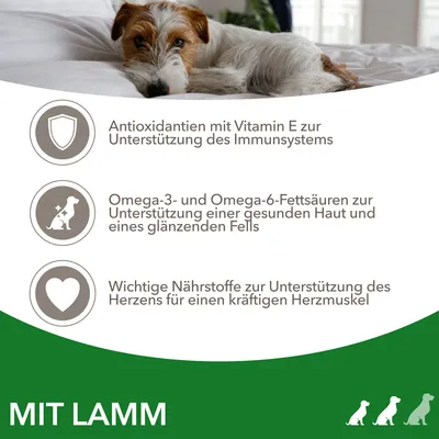 Mit Lamm. Antioxidantien mit Vitamin E zur Unterstützung des Immunsystems, Omega-3- und Omega-6-Fettsäuren für Haut und Fell, Nährstoffe für Herzgesundheit.