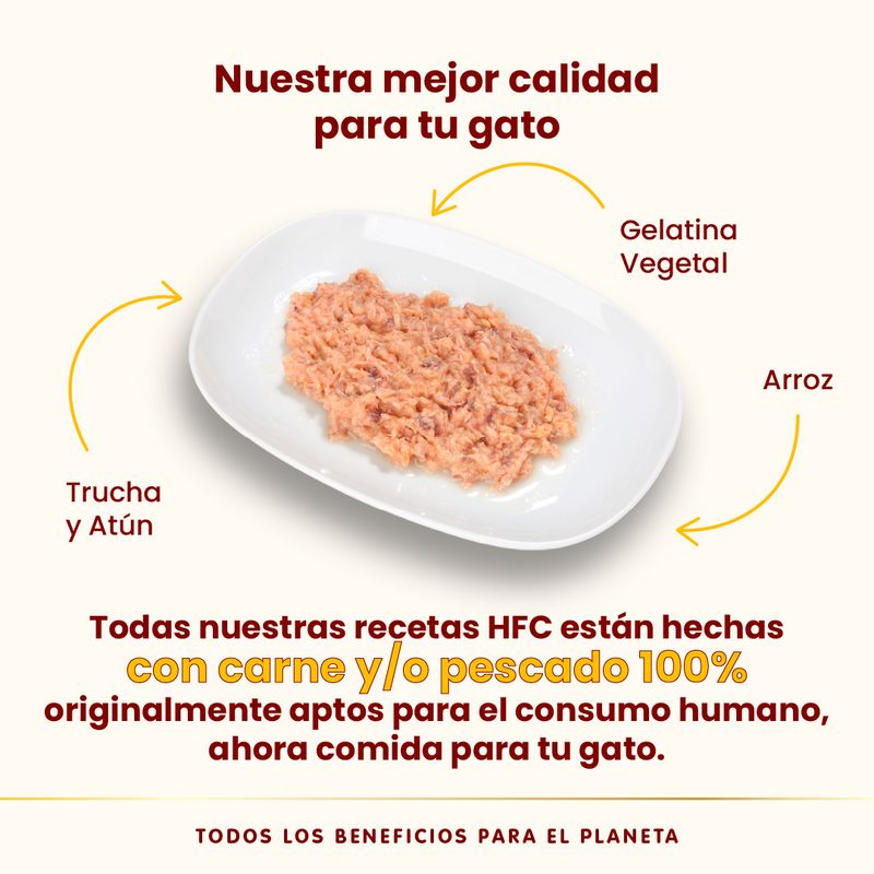 Pack Ahorro Almo Nature HFC 24 x 70 g