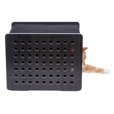 Wooden box with square ventilation holes, partially visible cat stretching out a paw.