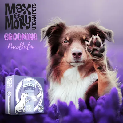 Max & Molly Urban Pets Paw Balm mit Kokosnuss und Sheabutter, 100% natürlich. Pflegeprodukt für Hundepfoten, Verpackung abgebildet.
