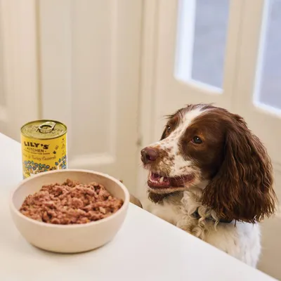 Bowl of wet pet food served next to an open can labelled Lily's Kitchen, placed on a table indoors.