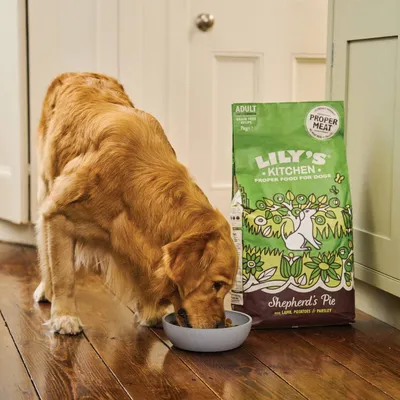 Dog eating from a bowl next to a bag of Lily's Kitchen Shepherd's Pie with lamb, potatoes and parsley, labelled as proper food for dogs and grain free recipe.