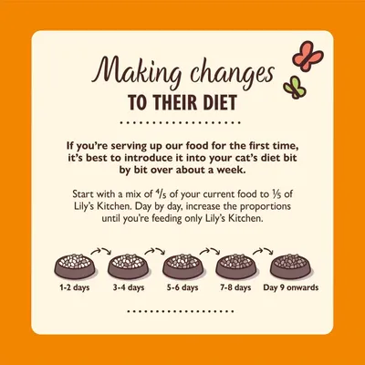 Feeding guide showing how to gradually switch food over about a week: start with mostly current food, increase new food daily until only the new food is served from day 9 onwards.
