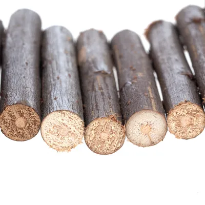 Primo piano di diversi bastoncini di legno marrone con estremità tagliate, adatti per scopi artigianali o decorativi.