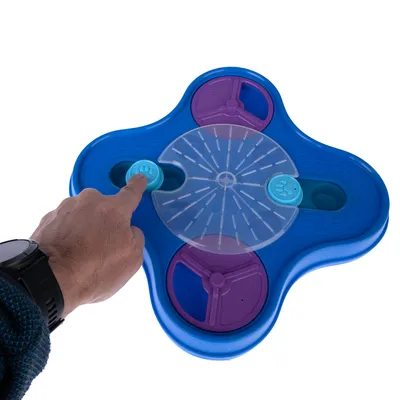 Main appuyant sur un bouton bleu en forme de patte sur un jouet interactif pour animaux, plateau bleu avec couvercle transparent et compartiments violets visibles.