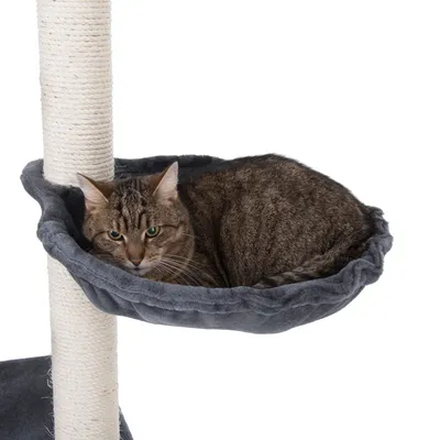 Kratzbaum mit grauer Liegefläche, darauf eine getigerte Katze liegend.