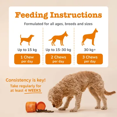Zesty Paws Probiotic Chews Zucca