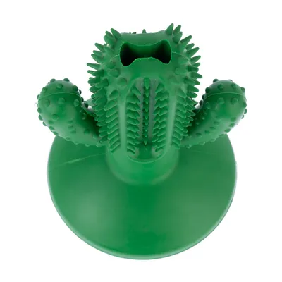 Grønt tyggelegetøj i kaktusform med knopper og åbning, egnet til tandpleje eller leg.