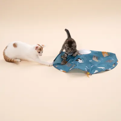 TIAKI interaktivt fangstspil til katte