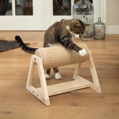 Chat utilisant un griffoir cylindrique en corde avec support en bois, posé sur le sol d’une pièce intérieure.