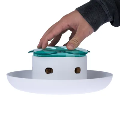 Hand drückt auf grünen Deckel eines weissen Futterspenders mit Sichtfenstern für Leckerlis.