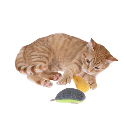 Rote Katze spielt mit zwei Stoffspielzeugen in Mausform, eines gelb und eines grau-grün.
