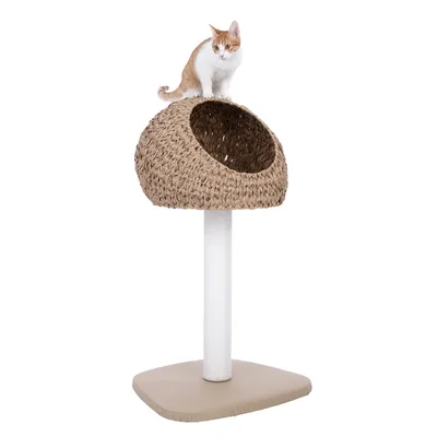 Arbre à chat avec base carrée, poteau recouvert de corde blanche et niche en osier tressé sur le dessus, chat blanc et roux assis sur la niche. Matériaux visibles : osier, corde, tissu.