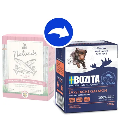 Confezione Bozita Naturals Salmon 370 g accanto a nuova confezione Bozita Lax/Salmon 370 g, con freccia blu che indica il cambio di packaging. Testi visibili: grain free, GMO free, no added sugar.