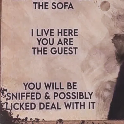 Textbild mit humorvoller Botschaft: 'The Sofa. I live here, you are the guest. You will be sniffed & possibly licked. Deal with it.'