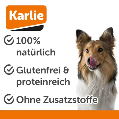 Karlie Getrocknetes Unterbein Rind