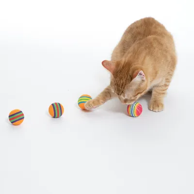 Gato rojo juega con pelotas de colores. El producto muestra pelotas de juego coloridas para mascotas.