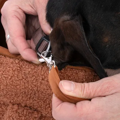 Attache mousqueton en métal reliant un harnais de chien à l’intérieur d’un sac de transport en tissu marron, main tenant la fermeture éclair du sac.