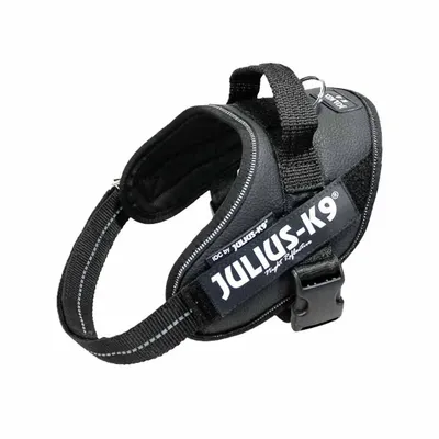Black harness with adjustable strap, handle, and visible JULIUS-K9 branding on the side.