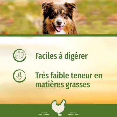 Faciles à digérer. Très faible teneur en matières grasses. Texte en français belge avec icônes et image d’un chien au-dessus, poulet stylisé en bas.