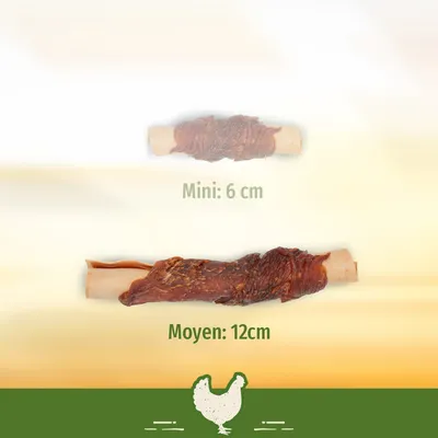 Comparaison de deux friandises à mâcher pour chien : Mini 6 cm et Moyen 12 cm, enroulées de viande. Illustration d’une poule en bas de l’image.