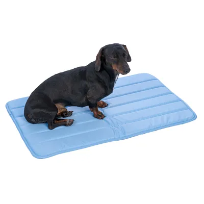 Jasnoniebieska, pikowana, wyściełana mata odpowiednia jako podkładka dla zwierząt domowych.