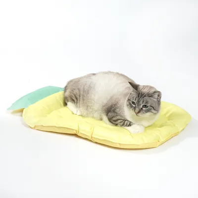 Kissa makaa keltaisella, pehmeällä tyynyllä, jossa on vihreä lehtiyksityiskohta. Tuote lemmikin rentoutumiseen tai nukkumapaikaksi.