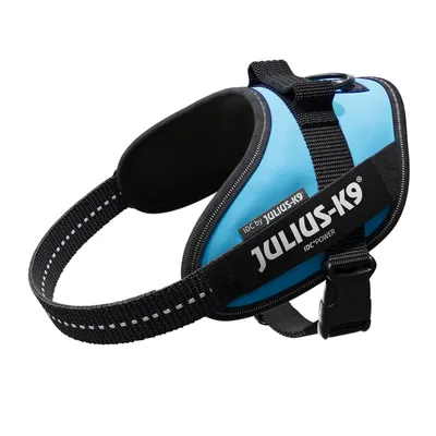 Harnais bleu pour chien avec sangle noire, boucle en plastique et texte visible : JULIUS-K9 IDC by JULIUS-K9 IDC®POWER.