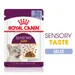 Royal Canin Sensory Taste in Gelee