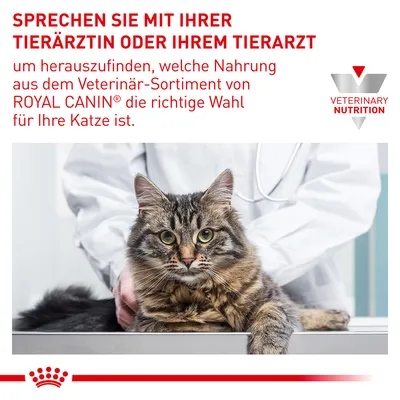 Sprechen Sie mit Ihrer Tierärztin oder Ihrem Tierarzt, um die passende Nahrung aus dem Veterinär-Sortiment von Royal Canin für Ihre Katze zu finden. Veterinary Nutrition Logo sichtbar.