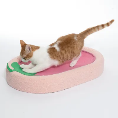 Grebalica za mačke u ružičastoj i zelenoj boji, s mačkom koja grebe. Prikazuje korištenje proizvoda.