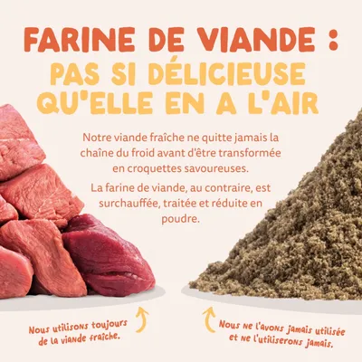 Edgard & Cooper Large Adult Dog Poulet sans céréales