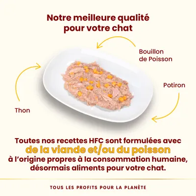 Almo Nature HFC Complete 6 x 70 g pour chat