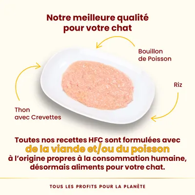 Lot Almo Nature HFC Mousse 24 x 70 g pour chat