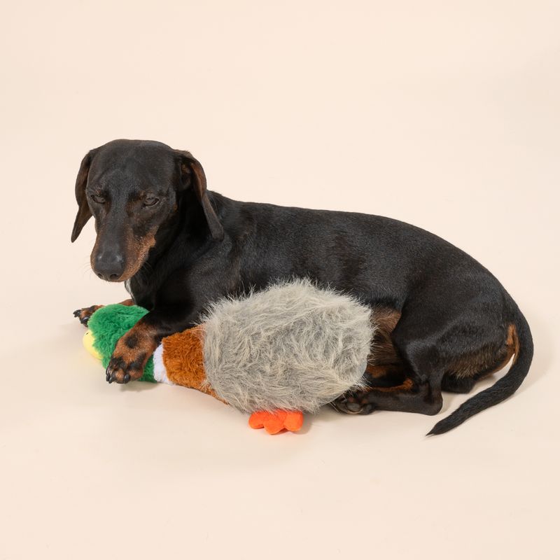 Gioco per cani TIAKI Anatra "Squawk"