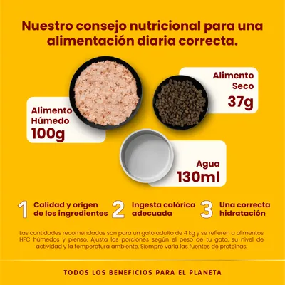 Consejo nutricional diario para gatos: alimento húmedo 100 g, alimento seco 37 g, agua 130 ml. Recomendado para gato adulto de 4 kg. Calidad, ingesta calórica y correcta hidratación.