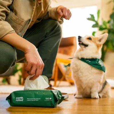 Earth Rated Hundetücher, pflanzenbasiert für eine schnelle und sanfte Reinigung. Verpackung mit 100 Tüchern sichtbar. Person entnimmt ein Tuch, Hund sitzt daneben.