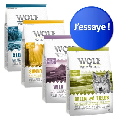 Quatre sacs de croquettes Wolf of Wilderness : Blu, Sunny, Wild, Green Fields. Texte visible : 100 % grain-free recipe. Pastille bleue avec texte « J’essaie ! »
