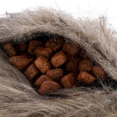 Croquettes brunes visibles à l’intérieur d’une poche en fausse fourrure grise, montrant le produit dans son emballage ouvert.