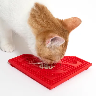 Rode voermat met noppen, kat eet natvoer erop. Toont gebruik van de mat voor langzame voeding.