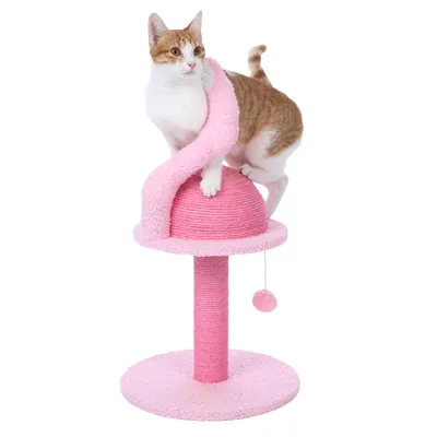 Kratzbaum in Rosa mit gewundener Säule, Kugelspielzeug und Plattform. Katze demonstriert Nutzung des Kratzbaums.