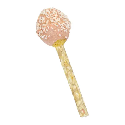 Snack für Kleintiere in Lollipop-Form mit rosa Kugel, bedeckt mit weissen Kokosflocken und einem Stiel aus gepressten Körnern.